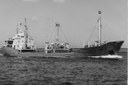 Gol 1965