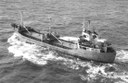Jocefa 1966