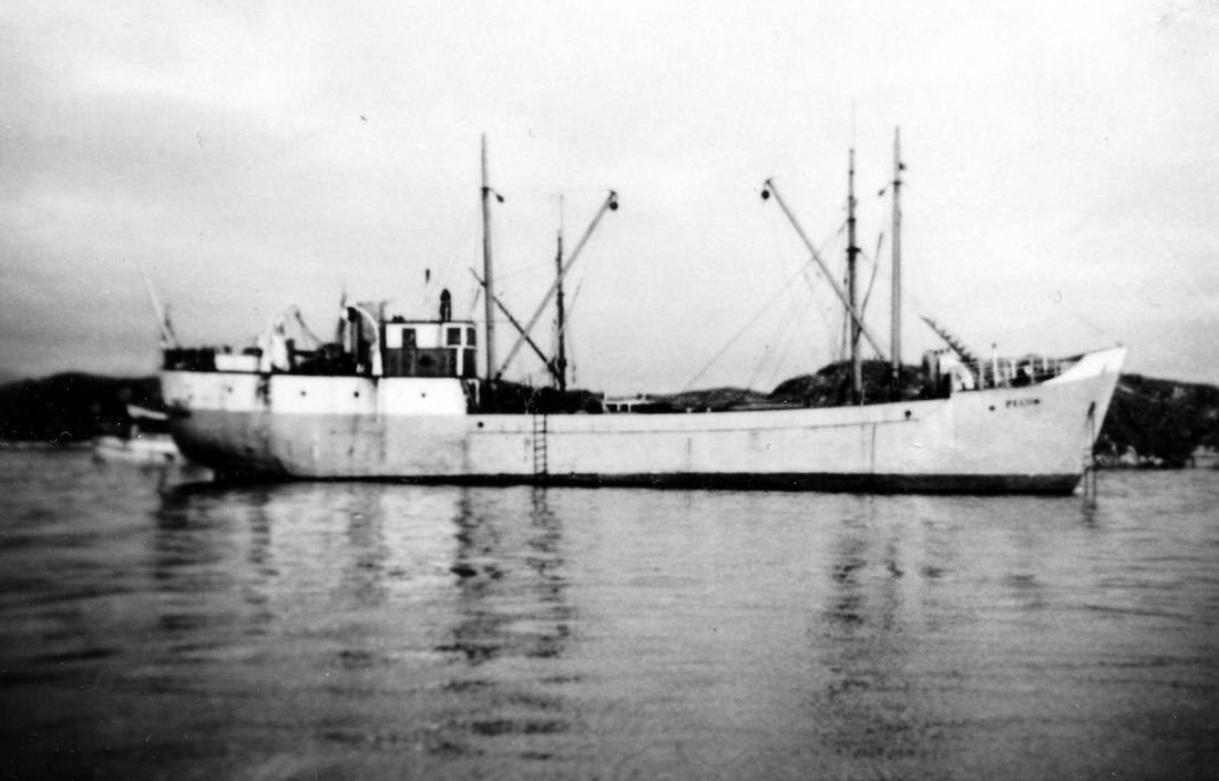 Peco Bodø Peco Bodø