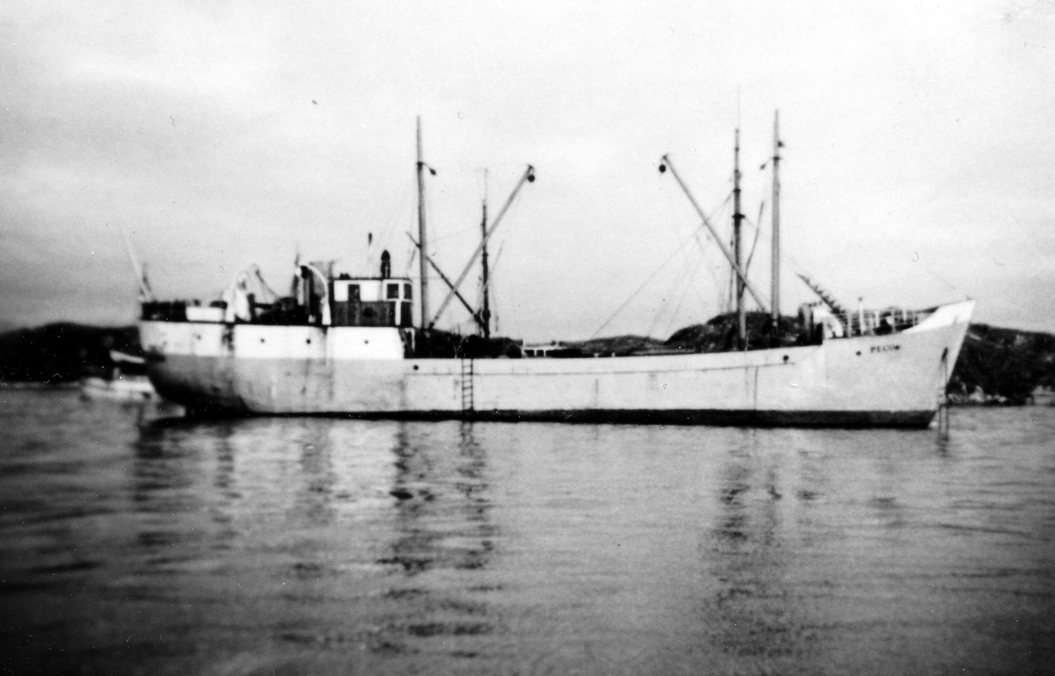 Peco Bodø